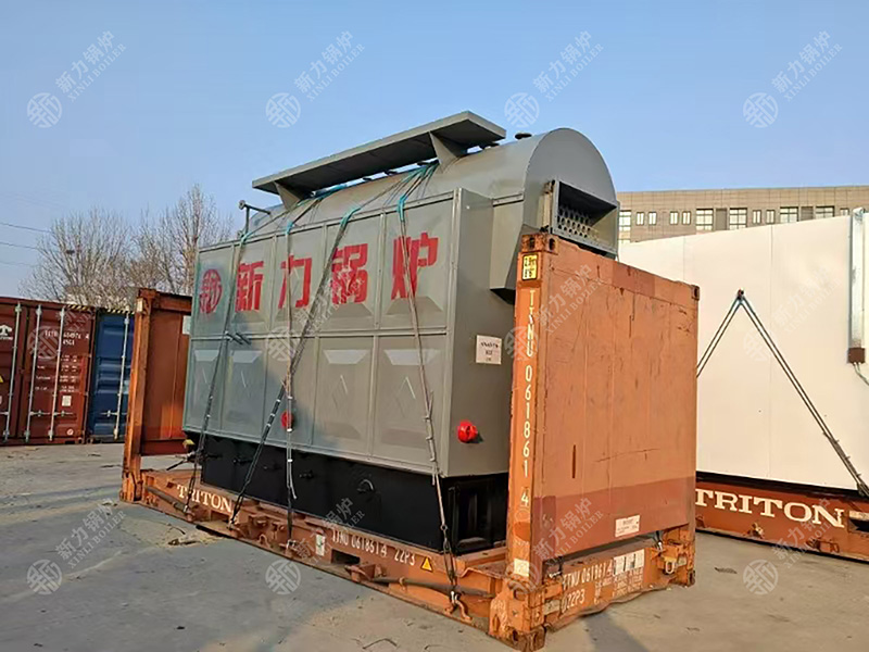 什么是DZL生物质锅炉？一篇文章读懂其分类与职能
