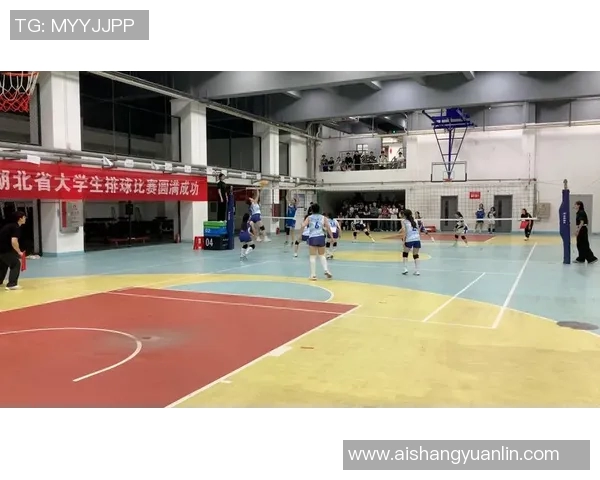 武汉排球队速度分析与提升策略探讨及其对比赛的影响 武汉排球队速度分析与提升策略探讨及其对比赛的影响