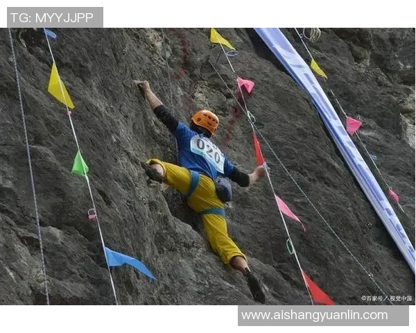 武汉攀岩队耐力训练揭秘助力攀登巅峰挑战极限