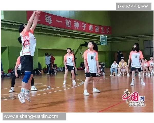 武汉排球队荣登排球速度排行榜首位展现卓越实力与团队合作精神 武汉排球队荣登排球速度排行榜首位展现卓越实力与团队合作精神