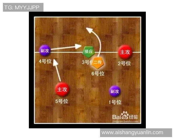 武汉排球队盯防战术全解析揭秘排球深度与团队协作的秘密