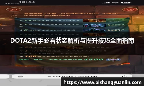 DOTA2新手必看状态解析与提升技巧全面指南