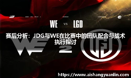 赛后分析：JDG与WE在比赛中的团队配合与战术执行探讨