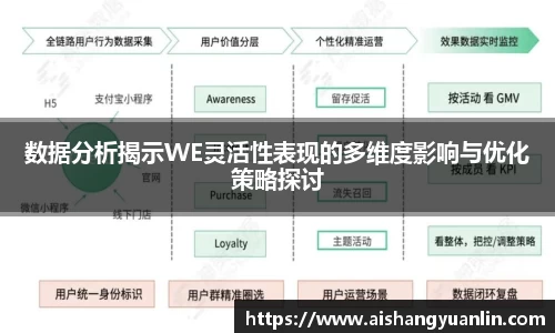 数据分析揭示WE灵活性表现的多维度影响与优化策略探讨