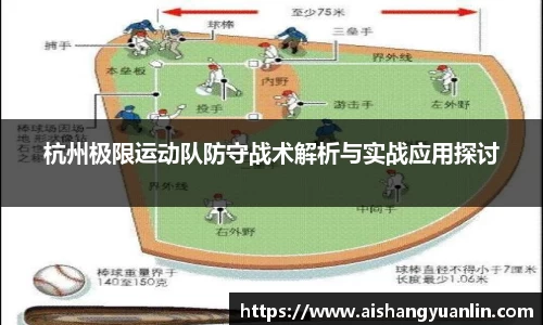 杭州极限运动队防守战术解析与实战应用探讨