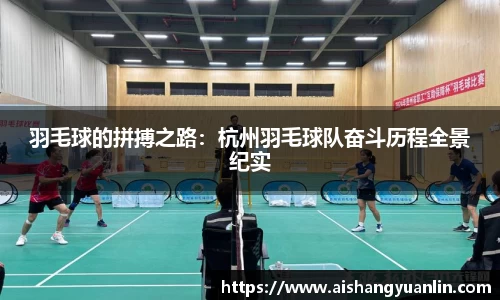 羽毛球的拼搏之路：杭州羽毛球队奋斗历程全景纪实
