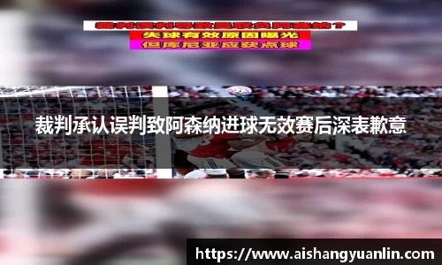 裁判承认误判致阿森纳进球无效赛后深表歉意