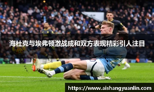 海杜克与埃弗顿激战成和双方表现精彩引人注目